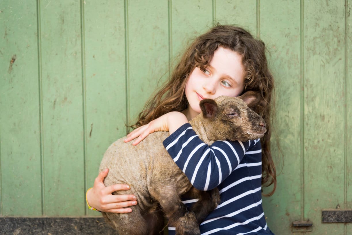 Girl hugging lamb at Twyford Open Day 2016 