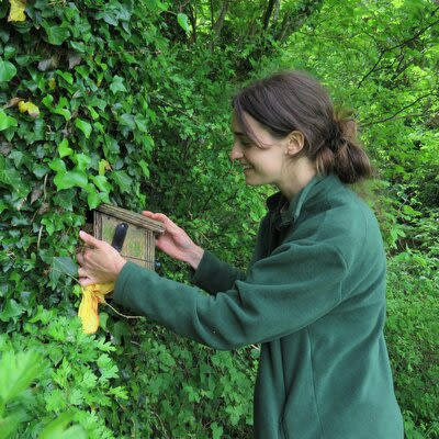 Mapping & Conservation Officer Ruth Moss checks a dormouse box