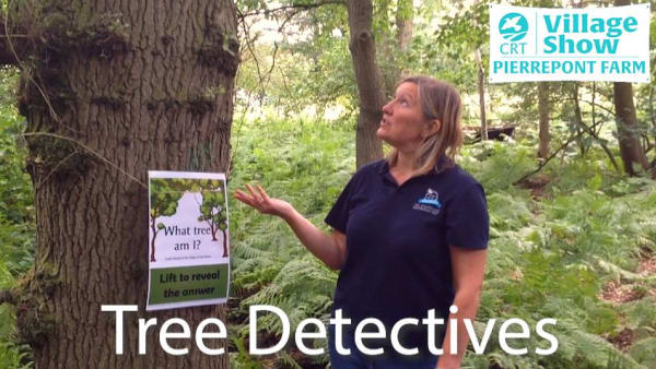 Become a Tree Detective!