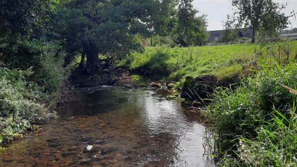 What's in the River Dore, and more