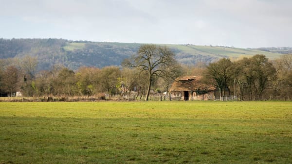 Bere Marsh Farm